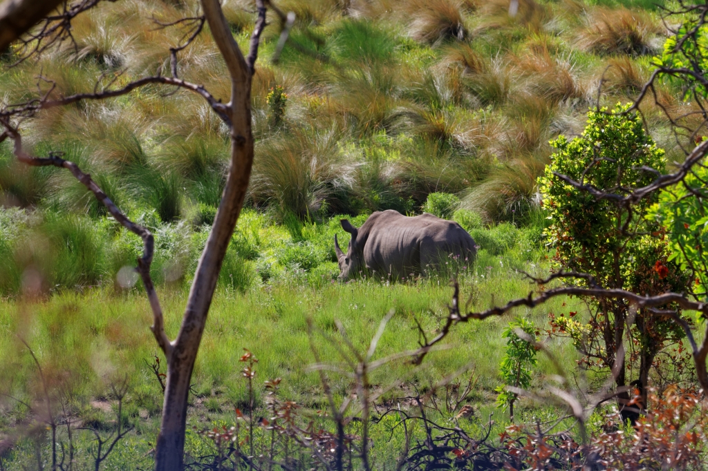 10 - Marakele NP (8).jpg